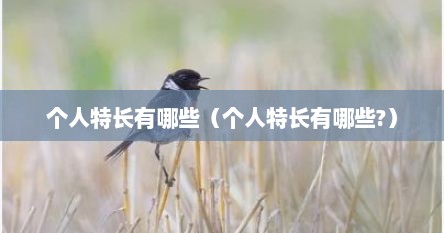 个人特长有哪些（个人特长有哪些?）