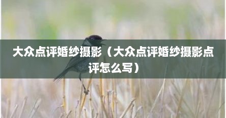 大众点评婚纱摄影（大众点评婚纱摄影点评怎么写）