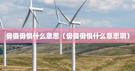 毋畏毋惧什么意思（毋畏毋惧什么意思啊）