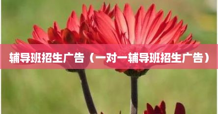 辅导班招生广告（一对一辅导班招生广告）