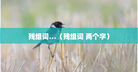 残组词...（残组词 两个字）