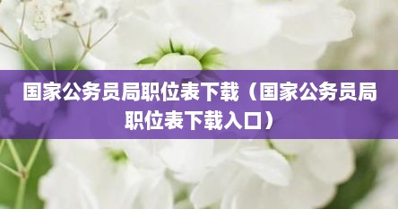 国家公务员局职位表下载（国家公务员局职位表下载入口）