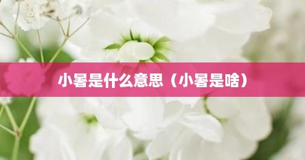 小暑是什么意思（小暑是啥）