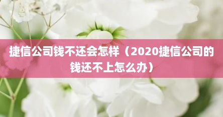 捷信公司钱不还会怎样（2020捷信公司的钱还不上怎么办）