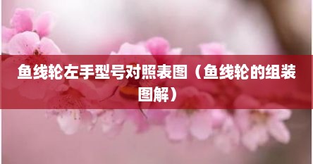 鱼线轮左手型号对照表图（鱼线轮的组装图解）