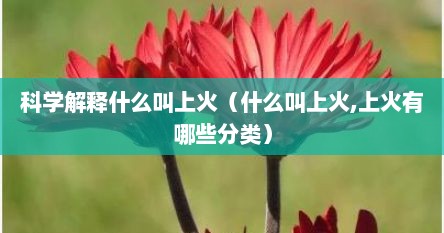 科学解释什么叫上火（什么叫上火,上火有哪些分类）