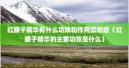 红腰子精华有什么功效和作用禁忌症（红腰子精华的主要功效是什么）