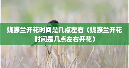 蝴蝶兰开花是几点钟开(蝴蝶兰开花的时间是几点开花) 蝴蝶兰开花是几点钟开(蝴蝶兰开花的时间是几点开花)