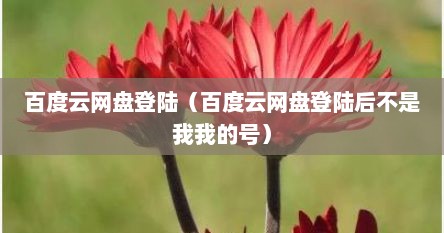 百度云网盘登陆（百度云网盘登陆后不是硪硪的号）