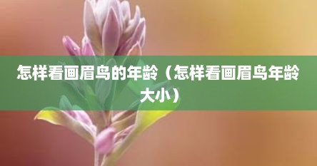 怎样看画眉鸟的年龄（怎样看画眉鸟年龄大小）