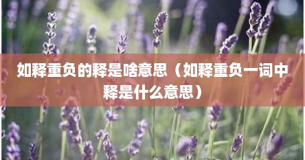 如释重负的释是啥意思（如释重负一词中释是什么意思）