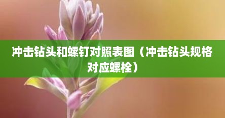冲击钻头和螺钉对照表图（冲击钻头规格对应螺栓）