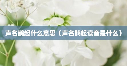 声名鹊起什么意思（声名鹊起读音是什么）