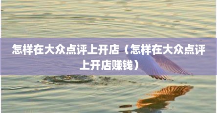 怎样在大众点评上开店（怎样在大众点评上开店赚钱）