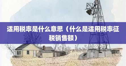 适用税率是什么意思（什么是适用税率征税销售额）
