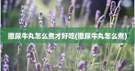 撒尿牛丸怎么煮才好吃(撒尿牛丸怎么煮)