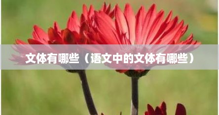 文体有哪些（语文中的文体有哪些）