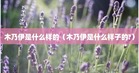 木乃伊是什么样的（木乃伊是什么样子的?）