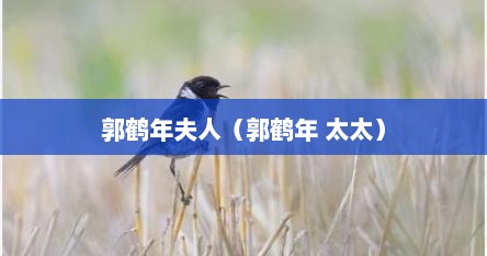 郭鹤年 家族（郭鹤年是做什么的）