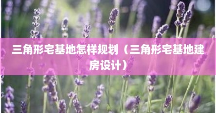 三角形宅基地怎样规划（三角形宅基地建房设计）