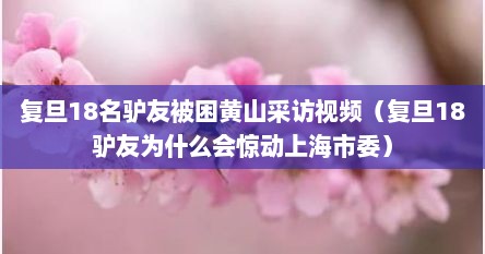 复旦18名驴友被困黄山采访视频（复旦18驴友为什么会惊动上海市委）