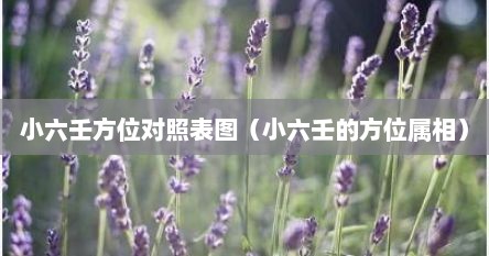 小六壬方位对照表图（小六壬的方位属相）