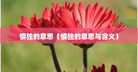 慎独的意思（慎独的意思与含义）