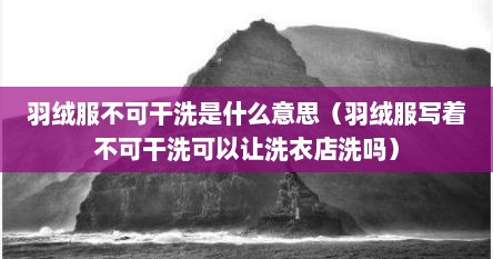 羽绒服不可干洗是什么意思（羽绒服写着不可干洗可以让洗衣店洗吗）