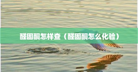 醛固酮怎样查（醛固酮怎么化验）