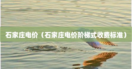石家庄电价（石家庄电价阶梯式收费标准）