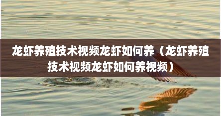 龙虾养殖技术视频龙虾如何养(龙虾养殖技术视频龙虾如何养视频)