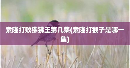索隆打败狒狒王第几集(索隆打猴子是哪一集)