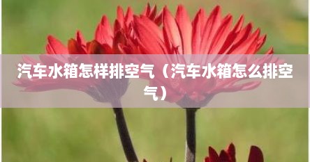 汽车水箱怎样排空气（汽车水箱怎么排空气）