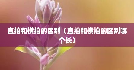 直拍和横拍的区别（直拍和横拍的区别哪个长）