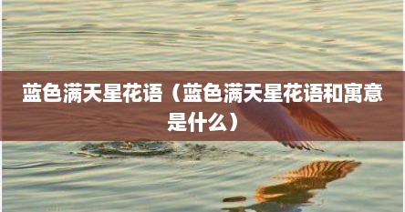 蓝色满天星花语（蓝色满天星花语和寓意是什么）