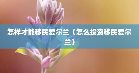 怎样才能移民爱尔兰（怎么投资移民爱尔兰）