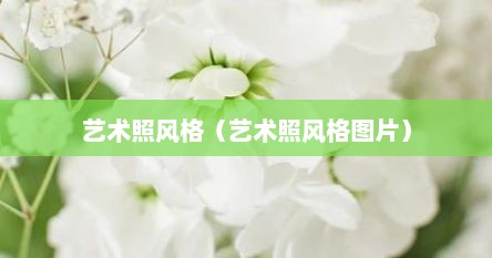 艺术照风格（艺术照风格图片）