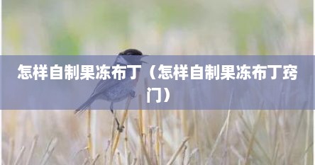 怎样自制果冻布丁（怎样自制果冻布丁窍门）