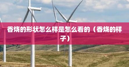香烧的形状怎么样是怎么看的（香烧的样子）