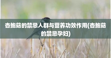 杏鲍菇的禁忌人群与营养功效作用(杏鲍菇的禁忌孕妇)