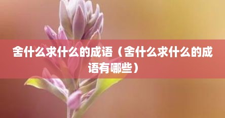 舍什么求什么的成语（舍什么求什么的成语有哪些）