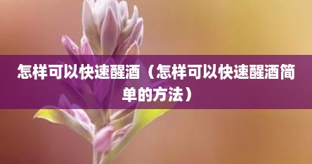 怎样可以快速醒酒（怎样可以快速醒酒简单的方法）