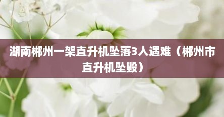 湖南郴州一架直升机坠落3人遇难（郴州市直升机坠毁）