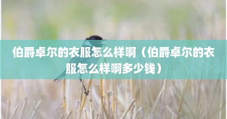 伯爵卓尔的衣服怎么样啊（伯爵卓尔的衣服怎么样啊多少钱）