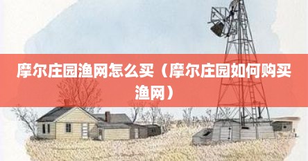摩尔庄园渔网怎么买（摩尔庄园如何购买渔网）