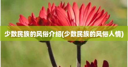 少数民族的风俗介绍(少数民族的风俗人情)