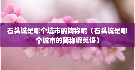 石头城是哪个城市的简称呢（石头城是哪个城市的简称呢英语）