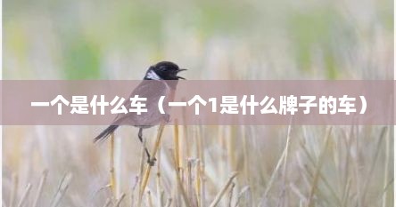 一个是什么车（一个1是什么牌子的车）
