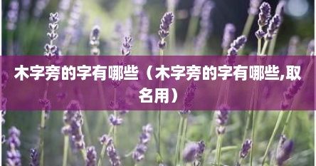 木字旁的字有哪些（木字旁的字有哪些,取名用）