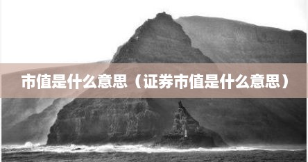 市值是什么意思（证券市值是什么意思）